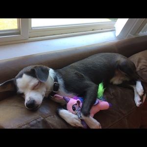 Meet your Posher, Lilly